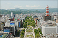 大通