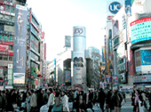 shibuya in Tokyo