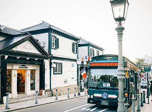 Kitano Ijinkan-gai (Town of Western style residences)