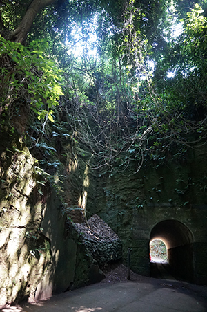 Sarushima island