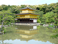 Kinkaku-ji Temple 金閣寺
