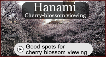 Cherry blossom viewing spots