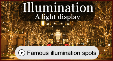 Illumination (A light display)
