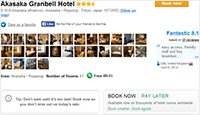Akasaka Granbell Hotel