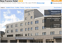 New Furano Hotel