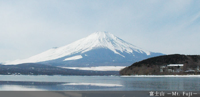 Shizuoka